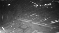 Veselíčko - zahrada u zámku