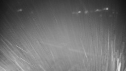 Veselíčko - zahrada u zámku