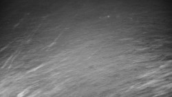 Veselíčko - zahrada u zámku