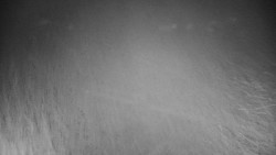 Veselíčko - zahrada u zámku