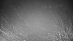 Veselíčko - zahrada u zámku