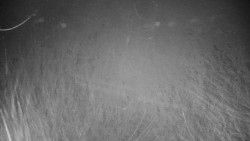 Veselíčko - zahrada u zámku