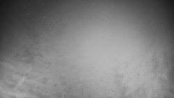 Veselíčko - zahrada u zámku