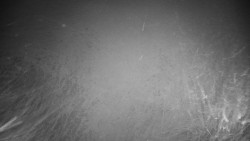 Veselíčko - zahrada u zámku