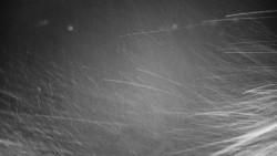 Veselíčko - zahrada u zámku