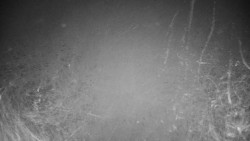 Veselíčko - zahrada u zámku