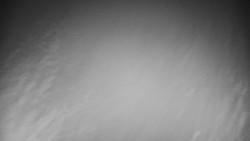 Veselíčko - zahrada u zámku