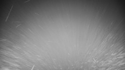 Veselíčko - zahrada u zámku