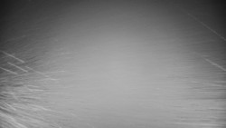 Veselíčko - zahrada u zámku