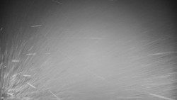 Veselíčko - zahrada u zámku