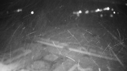 Veselíčko - zahrada u zámku