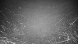 Veselíčko - zahrada u zámku