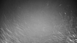 Veselíčko - zahrada u zámku