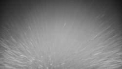 Veselíčko - zahrada u zámku