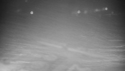 Veselíčko - zahrada u zámku