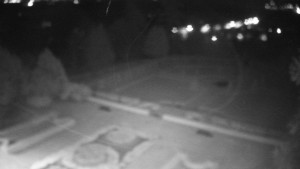 Obec Veselíčko - Veselíčko - zahrada u zámku - 24.4.2026 v 02:30 Obec Veselíčko - Veselíčko - zahrada u zámku - 24.4.2026 v 02:30