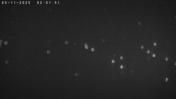 Snímek    3.11.2025 v 02:01