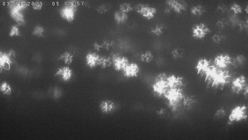 Snímek    3.11.2025 v 05:02