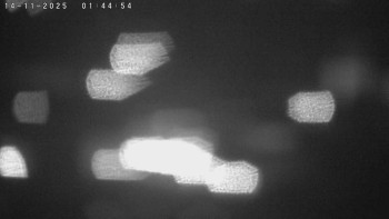 Snímek 14.11.2025 v 01:45