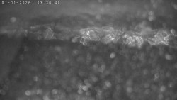 Humpolec z hradu Orlík