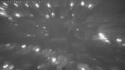 Humpolec z hradu Orlík