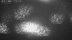 Humpolec z hradu Orlík