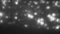 Humpolec z hradu Orlík