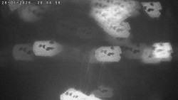 Humpolec z hradu Orlík