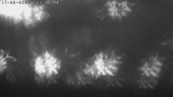 Humpolec z hradu Orlík