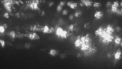 Humpolec z hradu Orlík