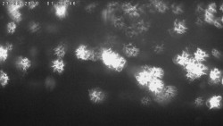 Humpolec z hradu Orlík