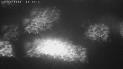 Humpolec z hradu Orlík