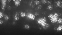 Humpolec z hradu Orlík