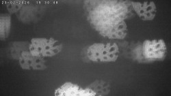 Humpolec z hradu Orlík