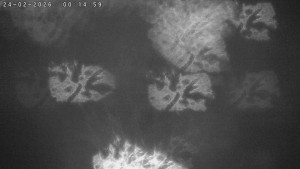 Město Humpolec - Humpolec z hradu Orlík - 24.2.2026 v 00:15 Město Humpolec - Humpolec z hradu Orlík - 24.2.2026 v 00:15