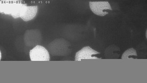 Město Humpolec - Humpolec z hradu Orlík - 24.2.2026 v 00:45 Město Humpolec - Humpolec z hradu Orlík - 24.2.2026 v 00:45