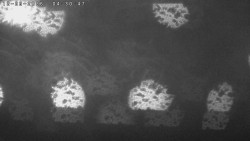 Humpolec z hradu Orlík