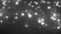 Humpolec z hradu Orlík