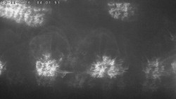 Humpolec z hradu Orlík