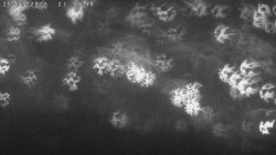 Humpolec z hradu Orlík