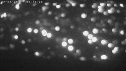 Humpolec z hradu Orlík