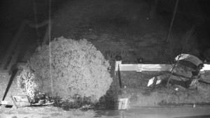 Obec Veselíčko - Veselíčko - zahrada u zámku - 1.1.2024 v 06:00 Obec Veselíčko - Veselíčko - zahrada u zámku - 1.1.2024 v 06:00