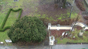 Obec Veselíčko - Veselíčko - zahrada u zámku - 1.1.2024 v 09:00 Obec Veselíčko - Veselíčko - zahrada u zámku - 1.1.2024 v 09:00