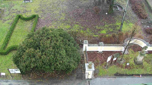 Obec Veselíčko - Veselíčko - zahrada u zámku - 1.1.2024 v 11:00 Obec Veselíčko - Veselíčko - zahrada u zámku - 1.1.2024 v 11:00