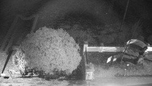 Obec Veselíčko - Veselíčko - zahrada u zámku - 1.1.2024 v 17:00 Obec Veselíčko - Veselíčko - zahrada u zámku - 1.1.2024 v 17:00