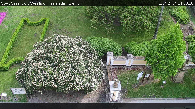 Obec Veselíčko - Veselíčko - zahrada u zámku - 19.4.2024 v 14:30