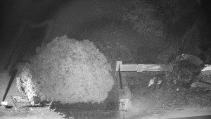 Obec Veselíčko - Veselíčko - zahrada u zámku - 8.11.2024 v 00:00 Obec Veselíčko - Veselíčko - zahrada u zámku - 8.11.2024 v 00:00