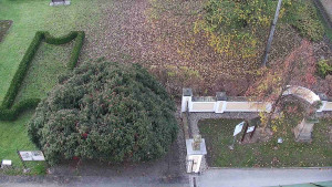 Obec Veselíčko - Veselíčko - zahrada u zámku - 8.11.2024 v 07:00 Obec Veselíčko - Veselíčko - zahrada u zámku - 8.11.2024 v 07:00