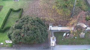 Obec Veselíčko - Veselíčko - zahrada u zámku - 8.11.2024 v 08:00 Obec Veselíčko - Veselíčko - zahrada u zámku - 8.11.2024 v 08:00