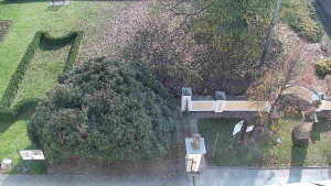 Obec Veselíčko - Veselíčko - zahrada u zámku - 8.11.2024 v 11:00 Obec Veselíčko - Veselíčko - zahrada u zámku - 8.11.2024 v 11:00